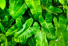 5 tipů, kterými zvýšíte hodnotu nemovitosti