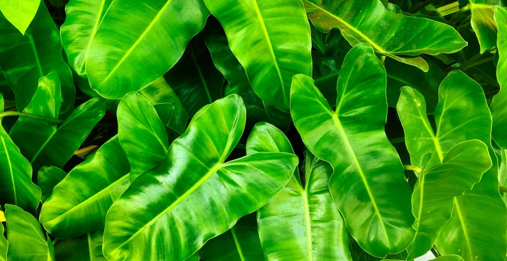 Jak prodat nemovitost 3x dráž